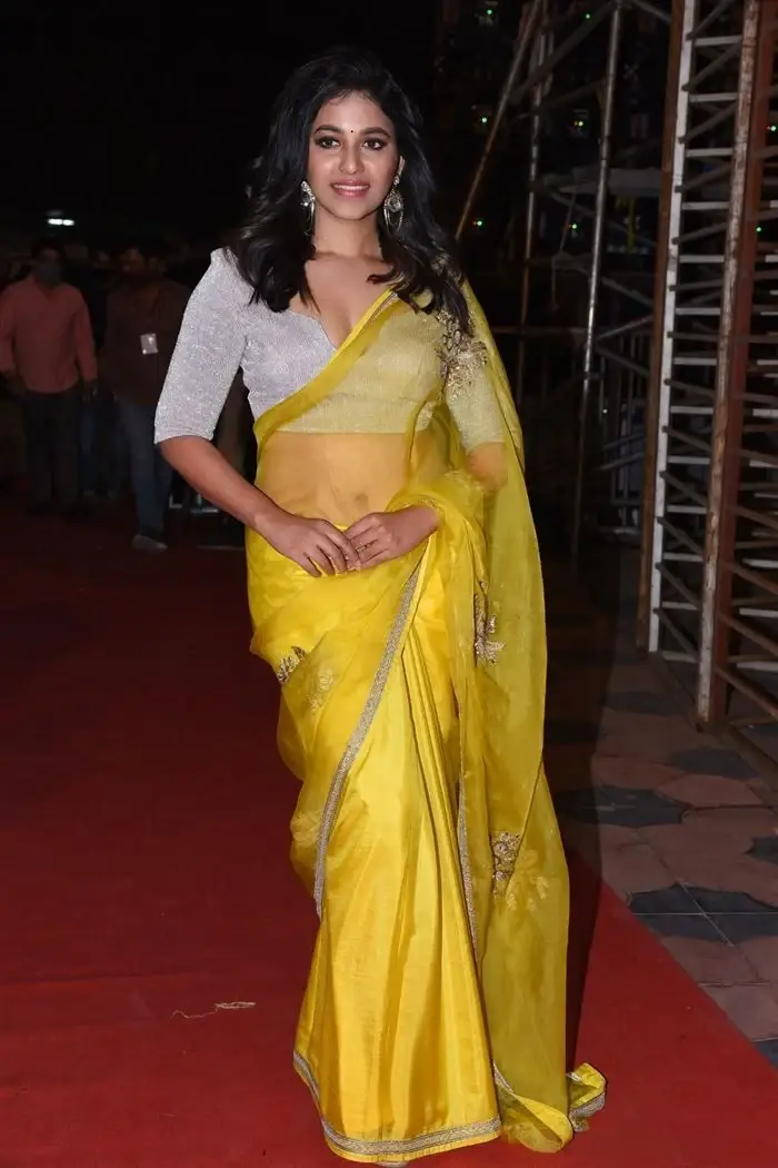 SOUTH INDIAN ACTRESS ANJALI STILLS IN TRADITIONAL LEMON YELLOW SAREE 16